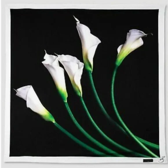 Victoria Beckham Target Women's Calla‎ Lily Black Scarf